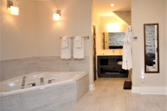 Queen Jacuzzi Suite - Bath area